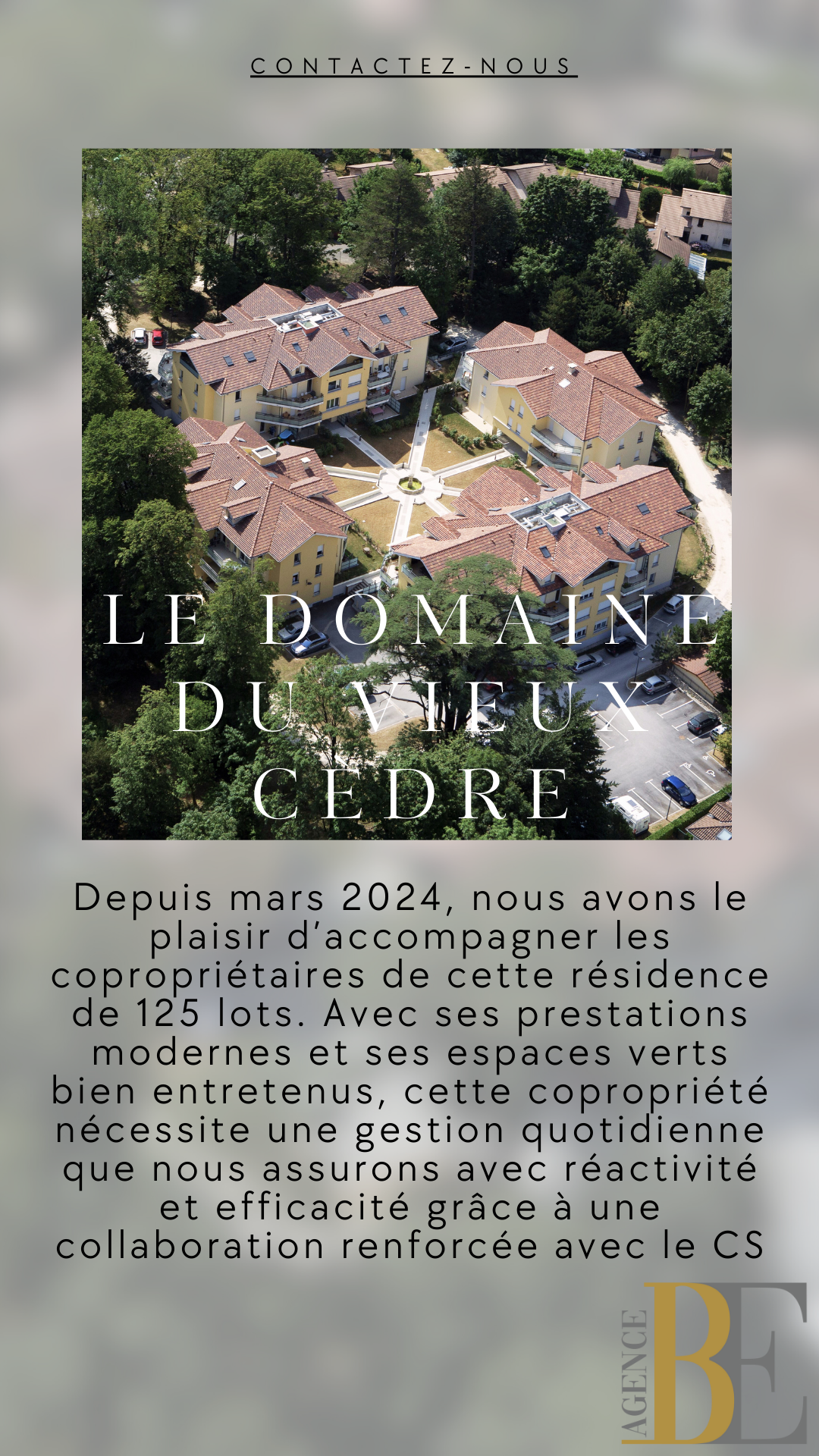 Logo-LE DOMAINE DU VIEUX CEDRE
